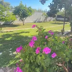Eden * Domusnovas