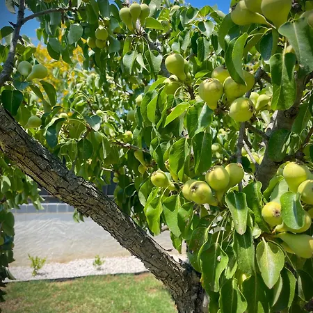 Eden Σπίτι διακοπών